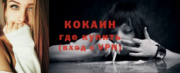 винт Абаза