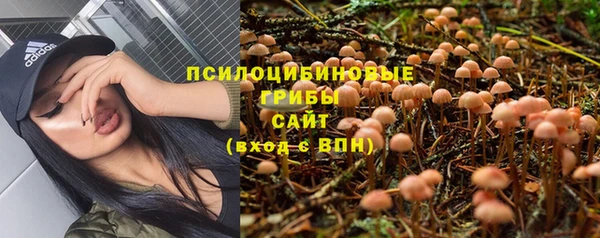 винт Абаза