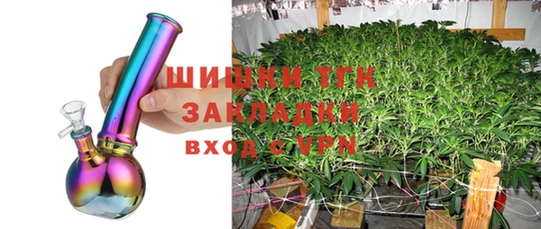 индика Абдулино