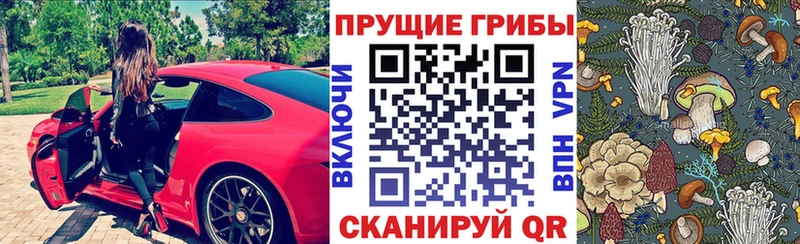 Галлюциногенные грибы Cubensis  omg вход  Белый 